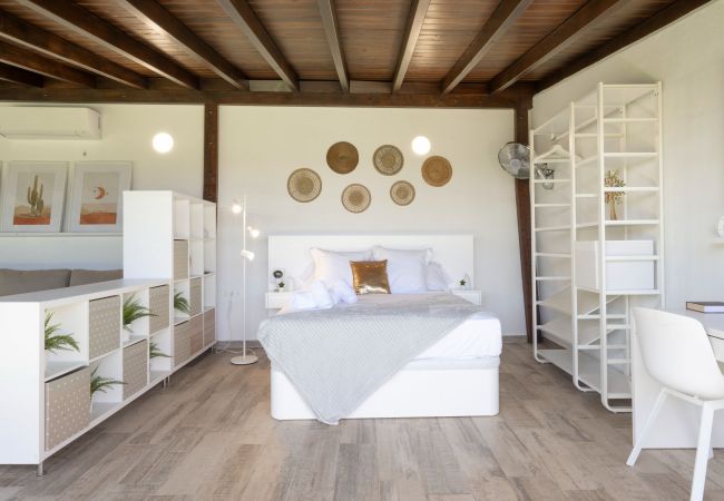 Studio in Santa Cruz de Tenerife - modern loft recently renovated In Santa Cruz de Tenerife 02 Studio in Santa Cruz de Tenerife - modern loft recently renovated In Santa Cruz de Tenerife 02