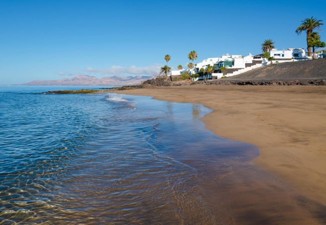 Apartment in Puerto del Carmen -  Apartment in Puerto del Carmen -