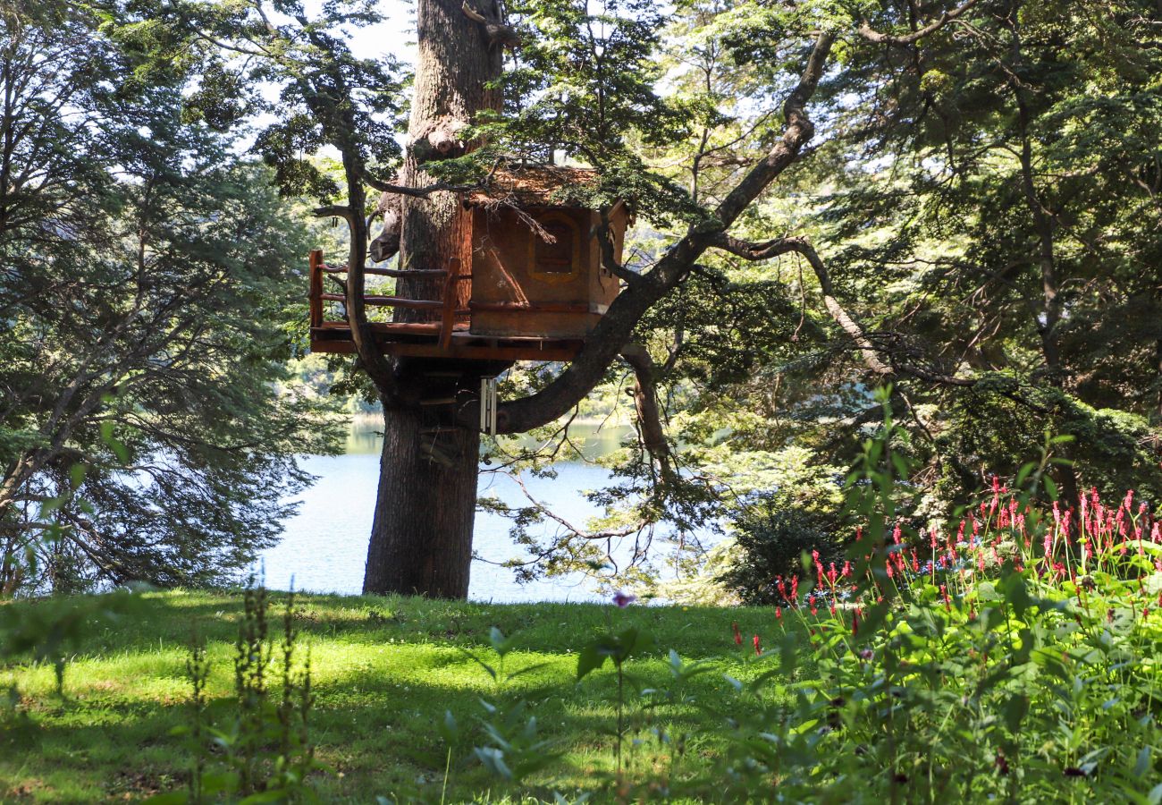 House in San Carlos de Bariloche - MORE16C Luxury house in Llao Llao s/ Morenito + Jacuzzi