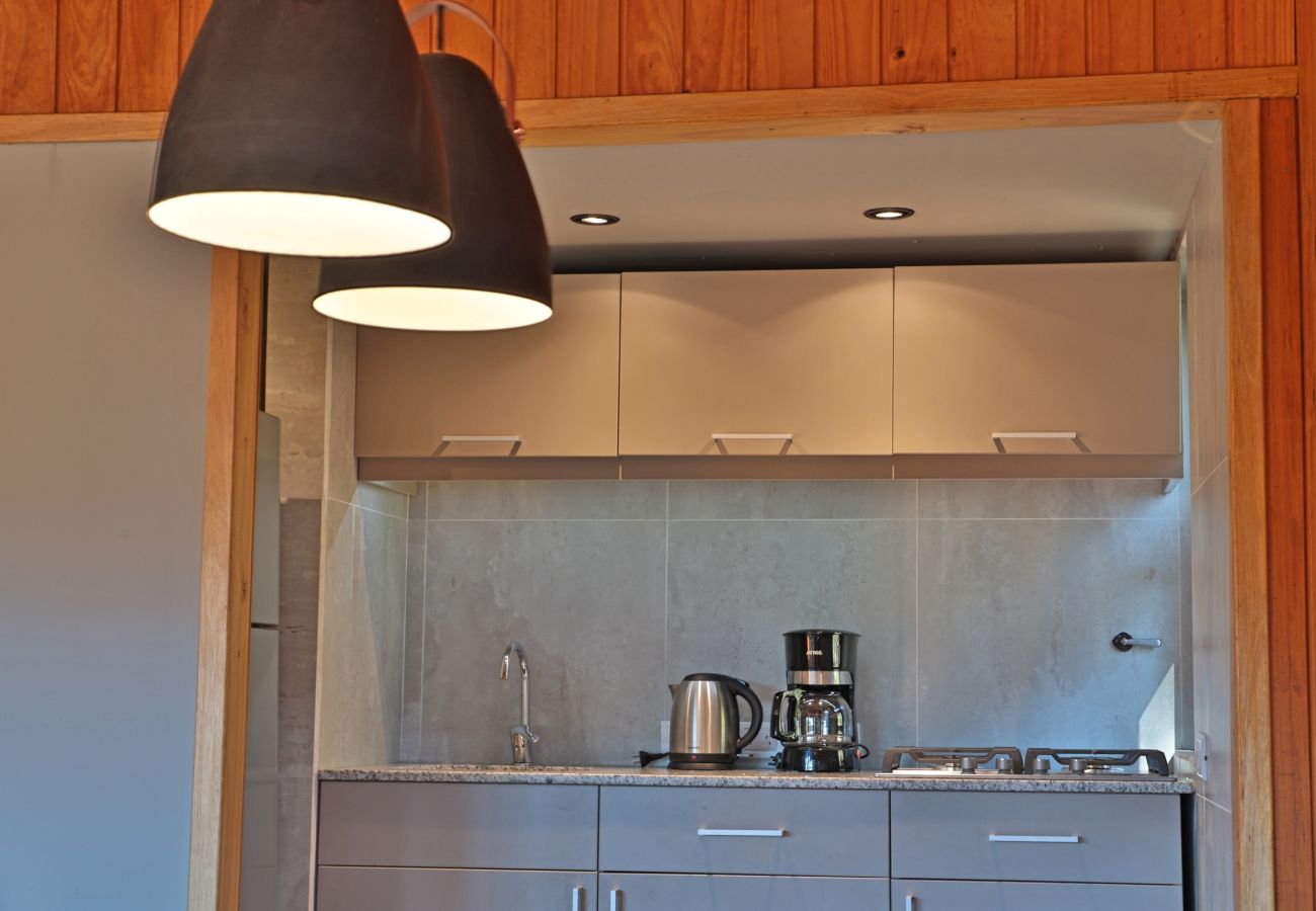 Cabin in San Carlos de Bariloche - HUAPI11C A wild nature escape with direct access to the lake 