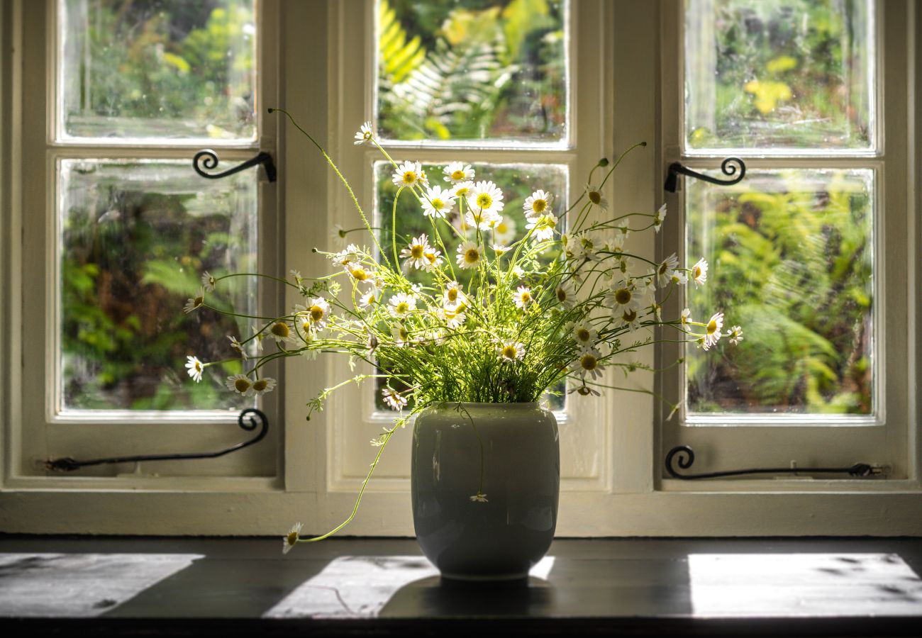 Cottage in Chagford - Weeke Brook - A 'quintessential' thatched cottage