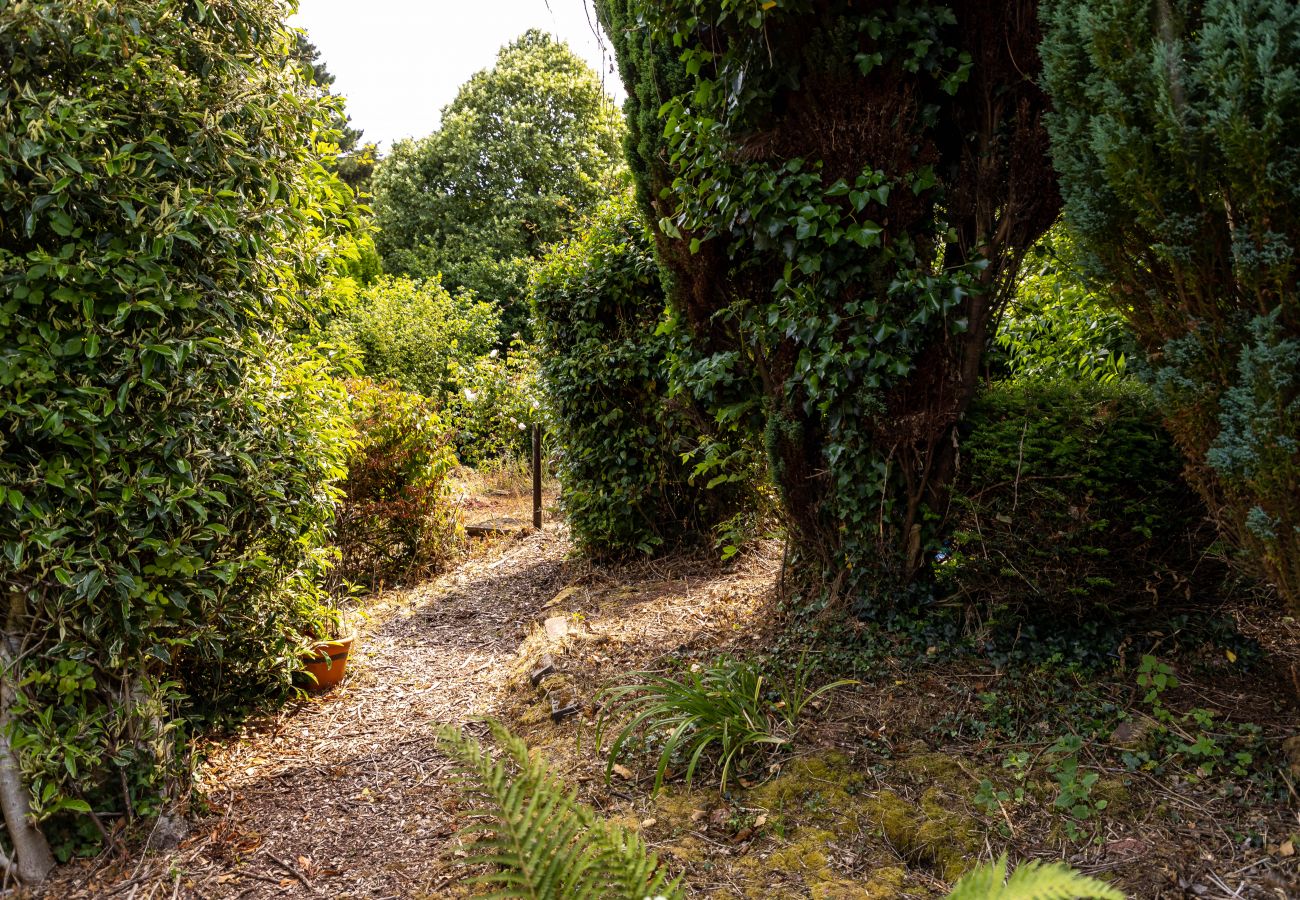 Countryside view through trees and laurels from Bramblewood garden