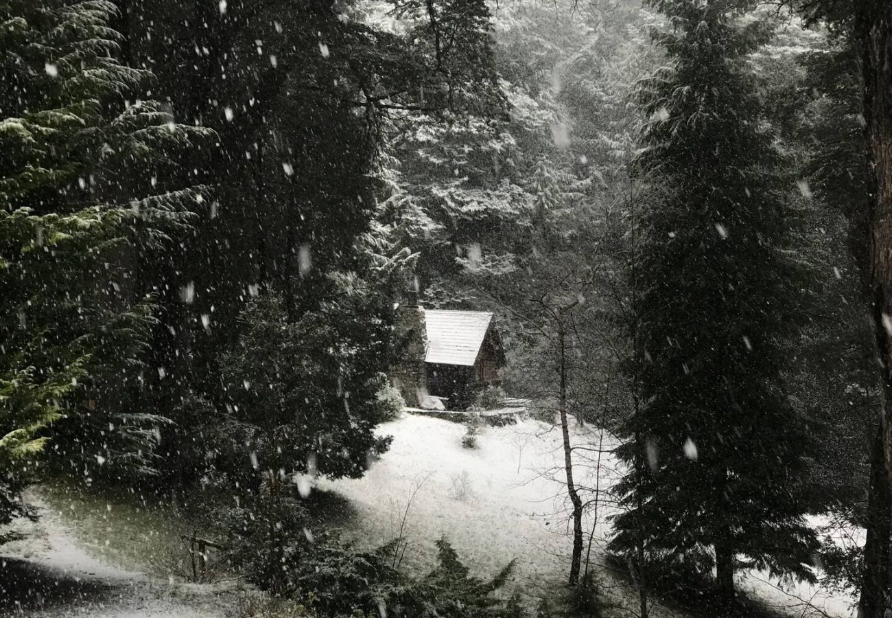 Cabin in San Carlos de Bariloche - TREBOL 02C -WARM LOG CABIN ON THE COAST OF LAGUNA EL TRÉBOL