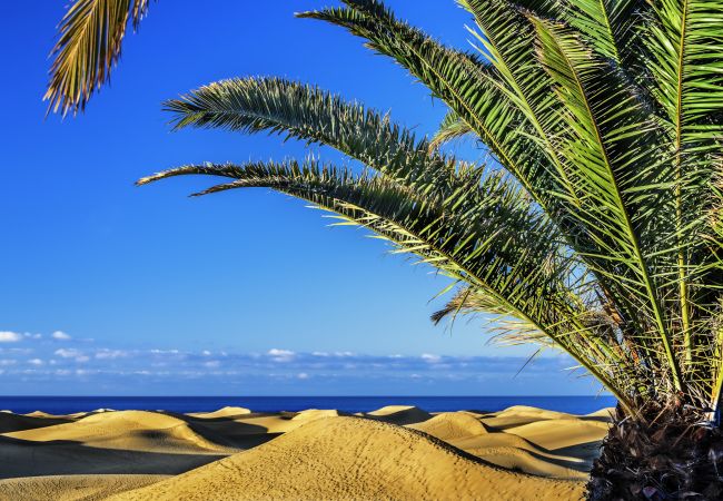 House in Las Palmas de Gran Canaria - Urban Square 2B12 By CanariasGetaway House in Las Palmas de Gran Canaria - Urban Square 2B12 By CanariasGetaway