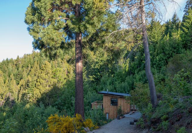  in San Carlos de Bariloche - Beautiful wooden cabin overlooking Lake Nahuel Huapi in a large forest