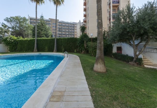 Apartment in Playa de Gandía - AG SALINAS 9 Apartment in Playa de Gandía - AG SALINAS 9