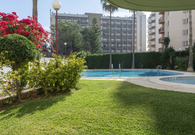 Apartment in Playa de Gandía - AG SALINAS 9 Apartment in Playa de Gandía - AG SALINAS 9