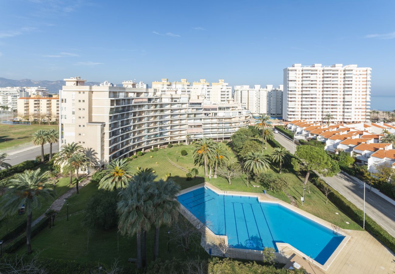 Apartment in Playa de Gandía - AG SALINAS 9