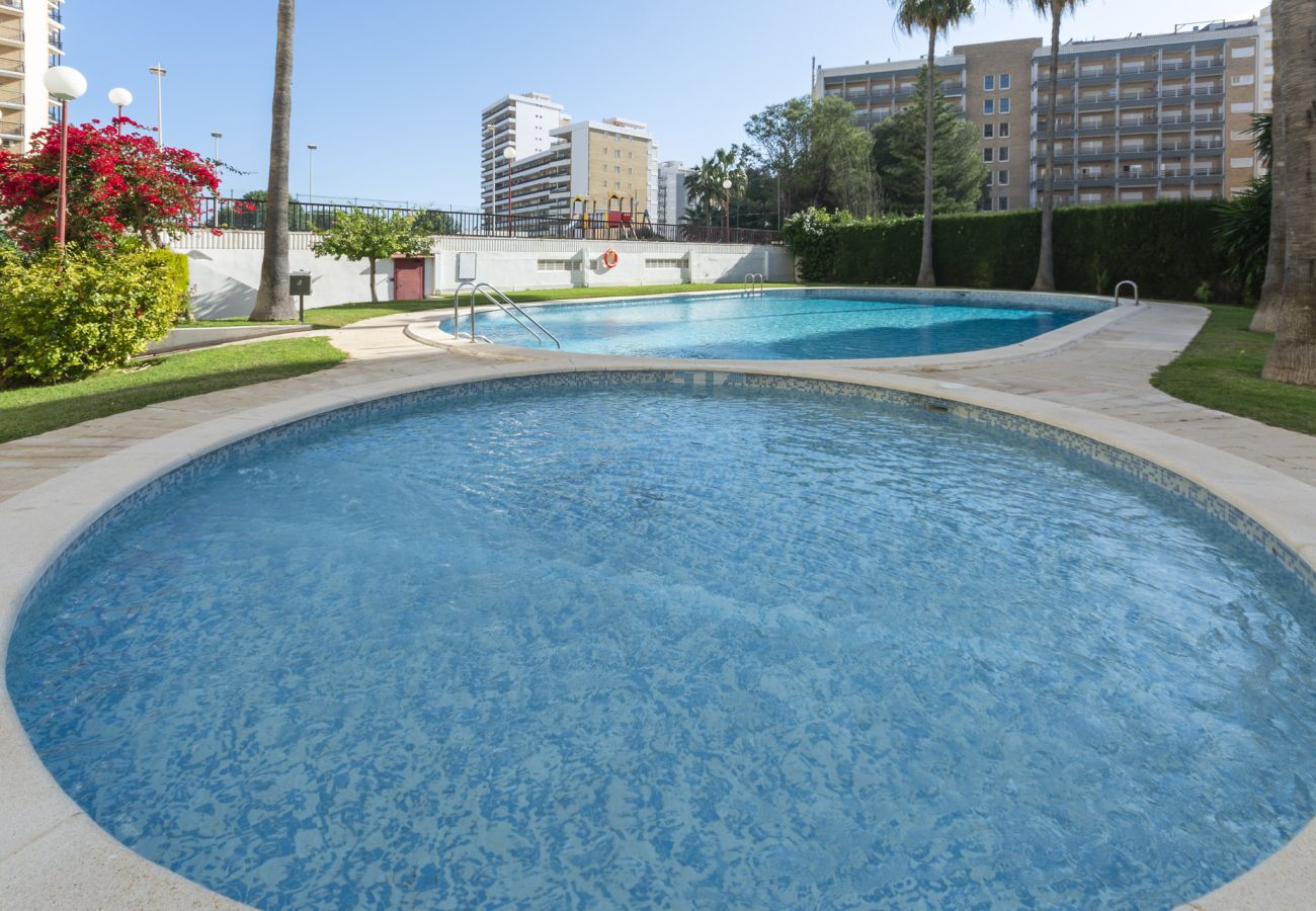 Apartment in Playa de Gandía - AG SALINAS 9