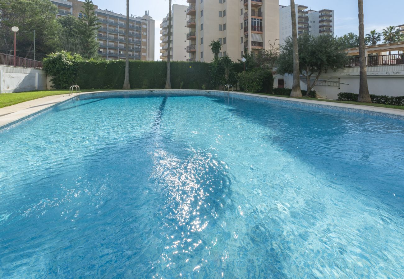 Apartment in Playa de Gandía - AG SALINAS 9