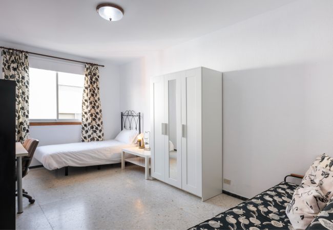 Apartment in Santa Cruz de Tenerife - Urban apartment in the heart of Santa Cruz Apartment in Santa Cruz de Tenerife - Urban apartment in the heart of Santa Cruz