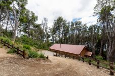 Cabin in San Carlos de Bariloche - huapi47c Large contemporary Patagonian style cabin on a 3400 m2 plot of land with the coast of Lake Nahuel Huapi