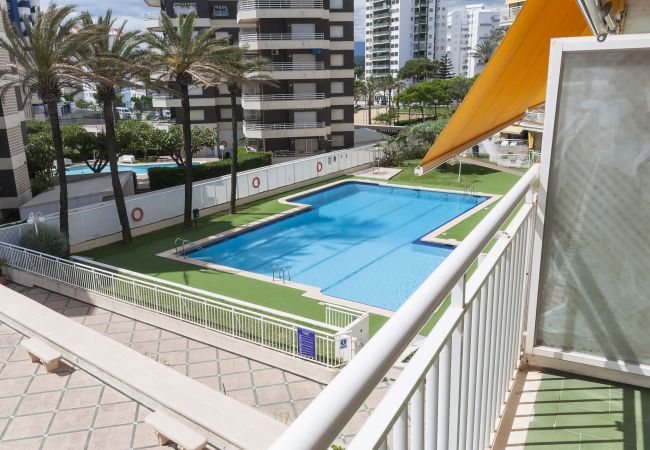 Apartment in Playa de Gandía - New lovely apartment in front of the beach Apartment in Playa de Gandía - New lovely apartment in front of the beach