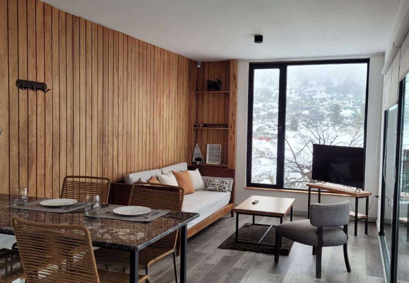 Apartment in San Carlos de Bariloche - cate16 Warm and modern accommodation surrounded by nature.