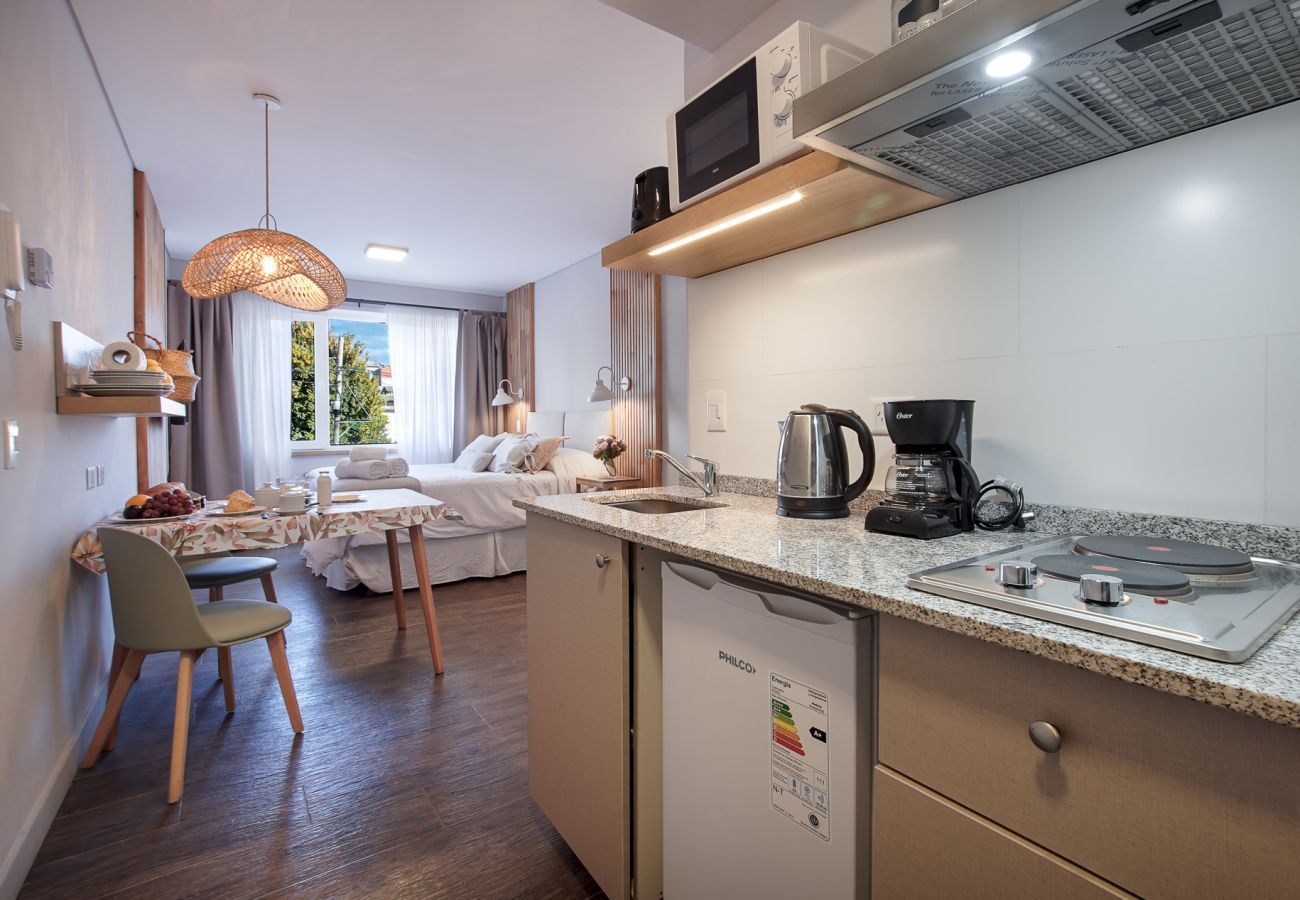 Studio in San Carlos de Bariloche - Otto mount apartment in down Town Bariloche