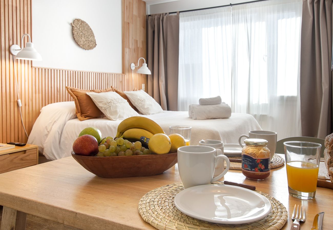 Studio in San Carlos de Bariloche - Abedul apartment in the heart of the Bariloche city Studio in San Carlos de Bariloche - Abedul apartment in the heart of the Bariloche city