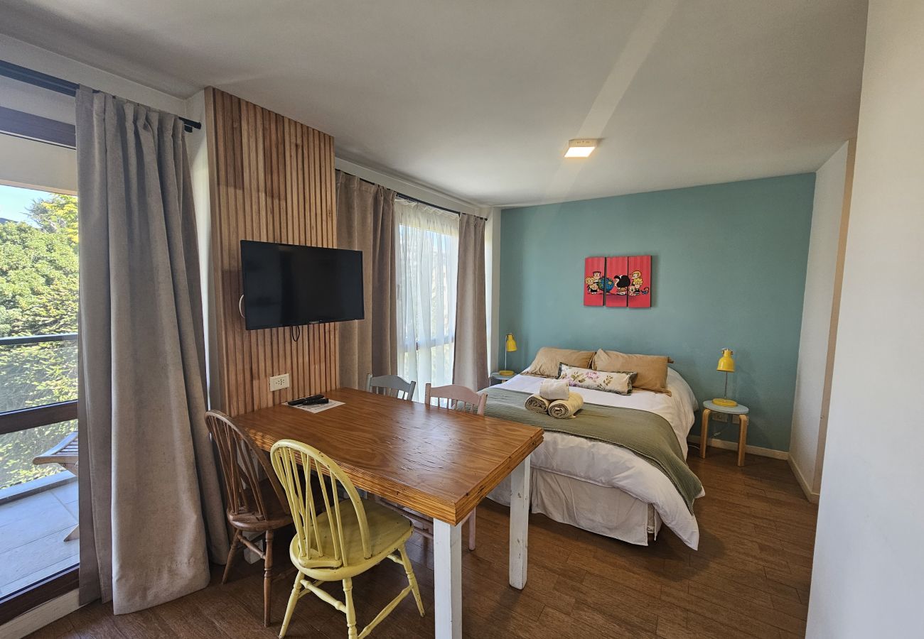Studio in San Carlos de Bariloche - Mafalda flat central and well comunication area in Bariloche