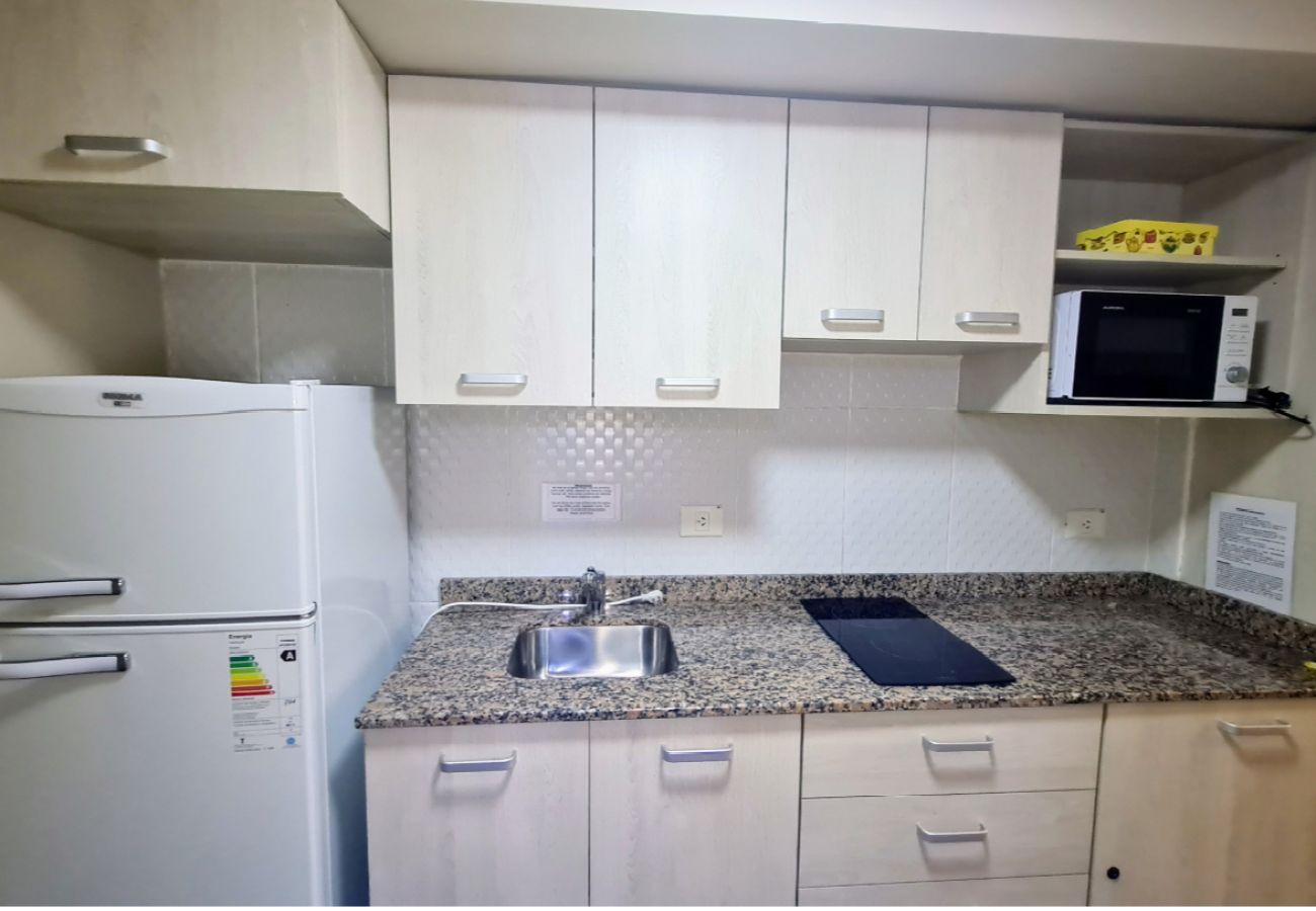 Studio in San Carlos de Bariloche - Paqualino flat in down town Bariloche