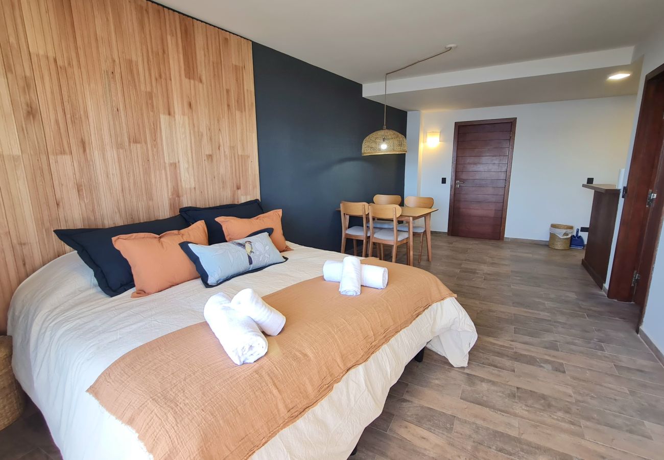 Studio in San Carlos de Bariloche - Swiss IV flat with an impressive Nahuel Huapi lake view