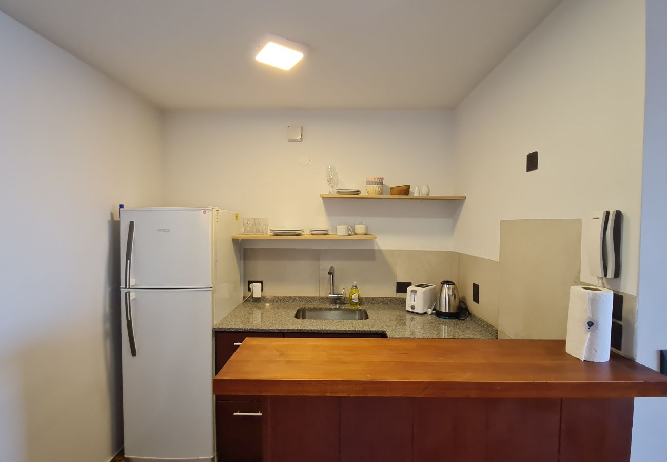 Studio in San Carlos de Bariloche - Swiss IV flat with an impressive Nahuel Huapi lake view