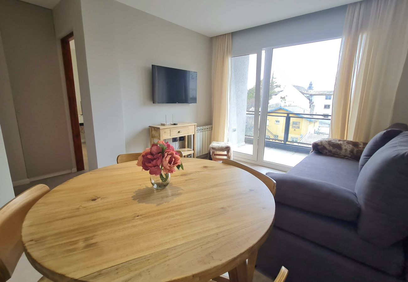 Apartment in San Carlos de Bariloche - Steppa flat in Bariloche