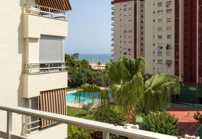 Apartment in Playa de Gandía - AG OLYMPIA Y ZEUS Apartment in Playa de Gandía - AG OLYMPIA Y ZEUS