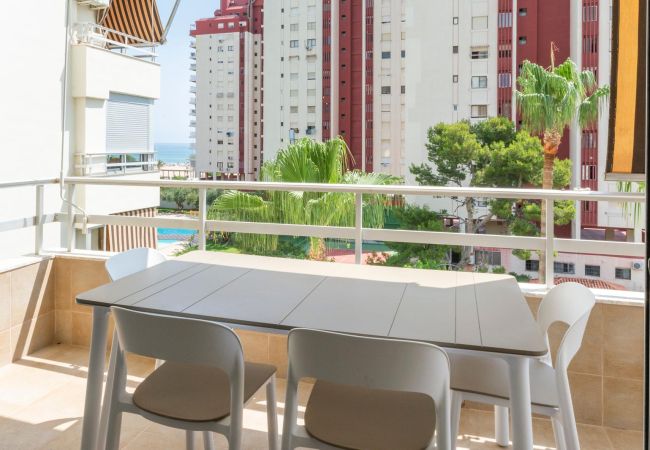 Apartment in Playa de Gandía - AG OLYMPIA Y ZEUS Apartment in Playa de Gandía - AG OLYMPIA Y ZEUS