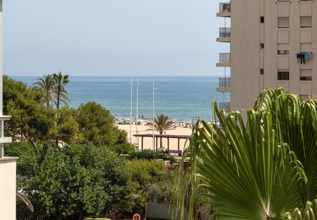 Apartment in Playa de Gandía - AG OLYMPIA Y ZEUS Apartment in Playa de Gandía - AG OLYMPIA Y ZEUS