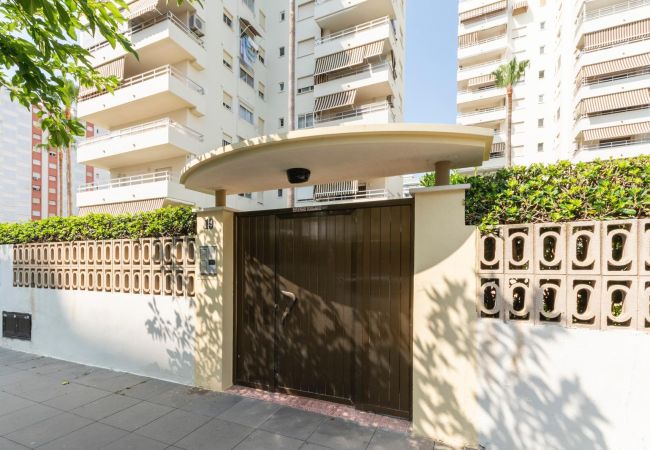 Apartment in Playa de Gandía - AG OLYMPIA Y ZEUS Apartment in Playa de Gandía - AG OLYMPIA Y ZEUS