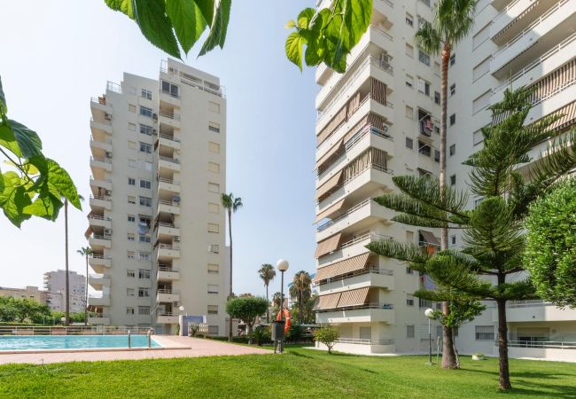Apartment in Playa de Gandía - AG OLYMPIA Y ZEUS Apartment in Playa de Gandía - AG OLYMPIA Y ZEUS