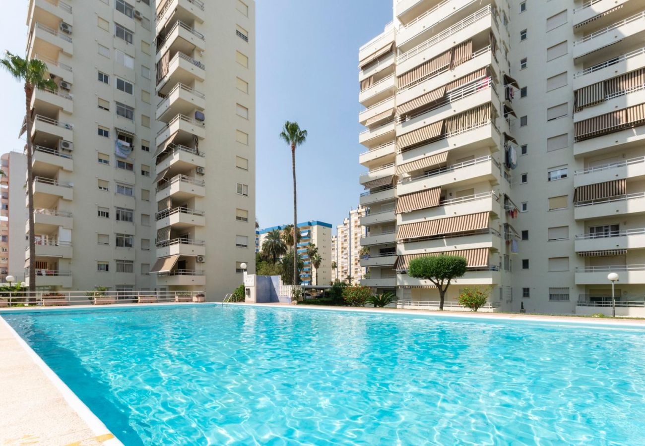 Apartment in Playa de Gandía - AG OLYMPIA Y ZEUS - only families