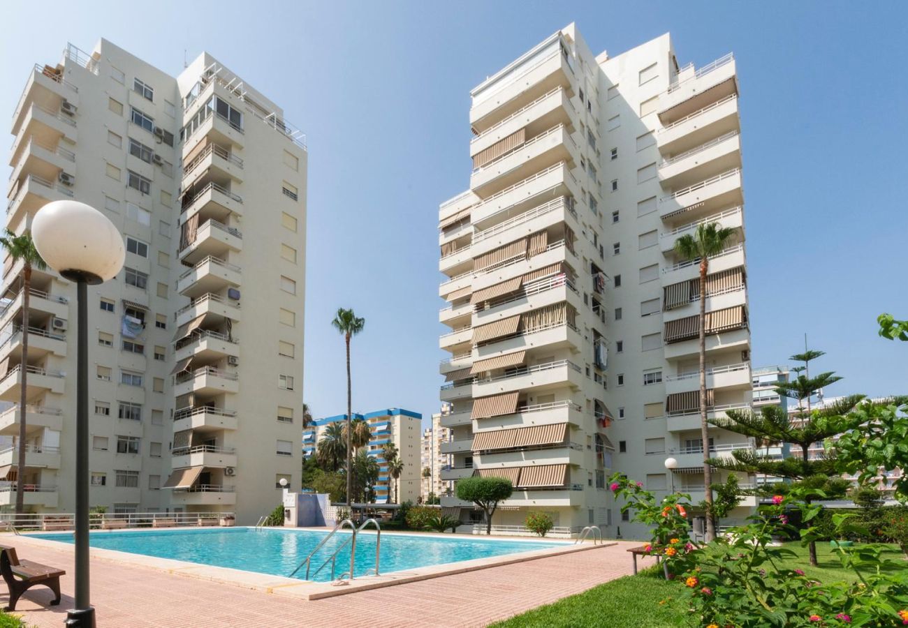 Apartment in Playa de Gandía - AG OLYMPIA Y ZEUS - only families