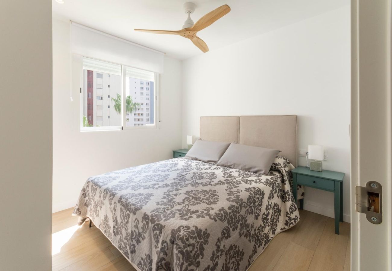 Apartment in Playa de Gandía - AG OLYMPIA Y ZEUS - only families