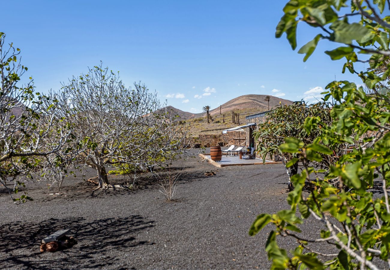 House in Haría - Finca la Molina Lanzarote House in Haría - Finca la Molina Lanzarote