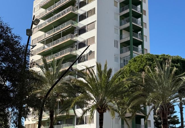 Apartment in Playa de Gandía - AG CASTILLO DUCAL Apartment in Playa de Gandía - AG CASTILLO DUCAL