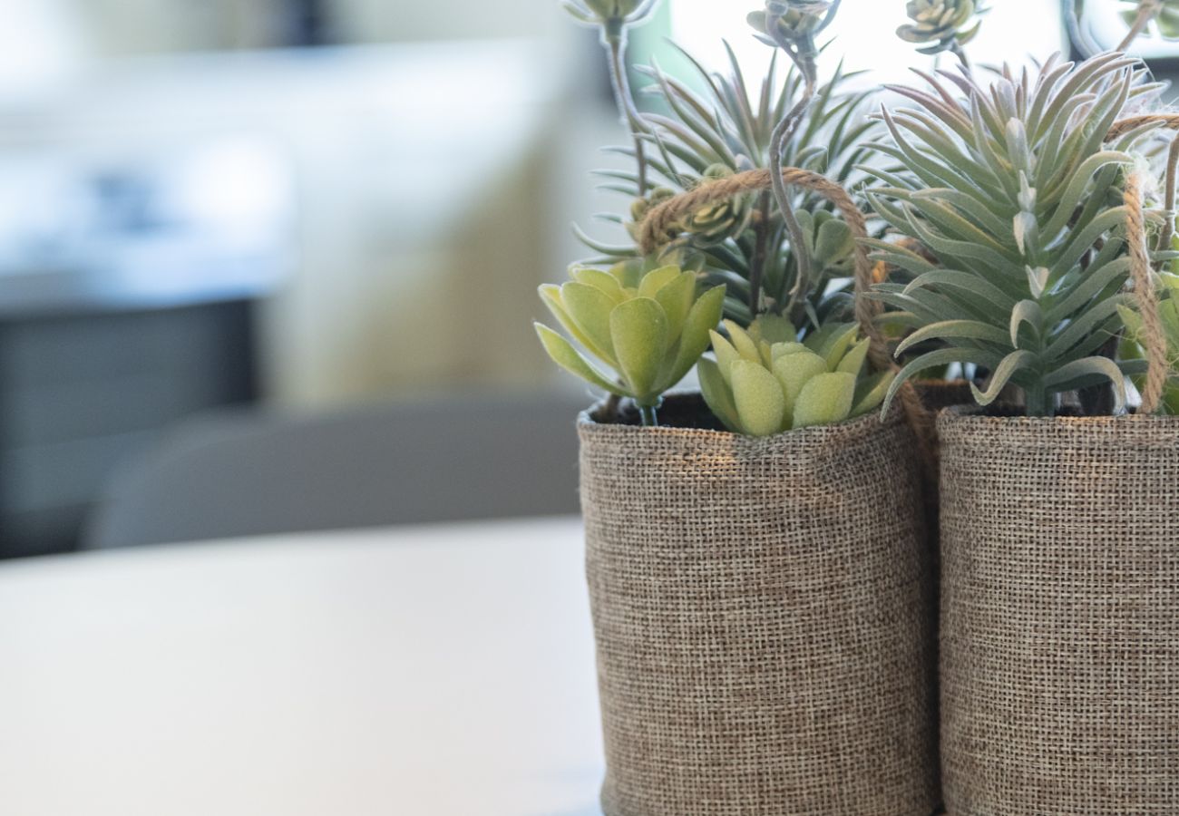 Apartment in Playa de Gandía - AG CASTILLO DUCAL - only families