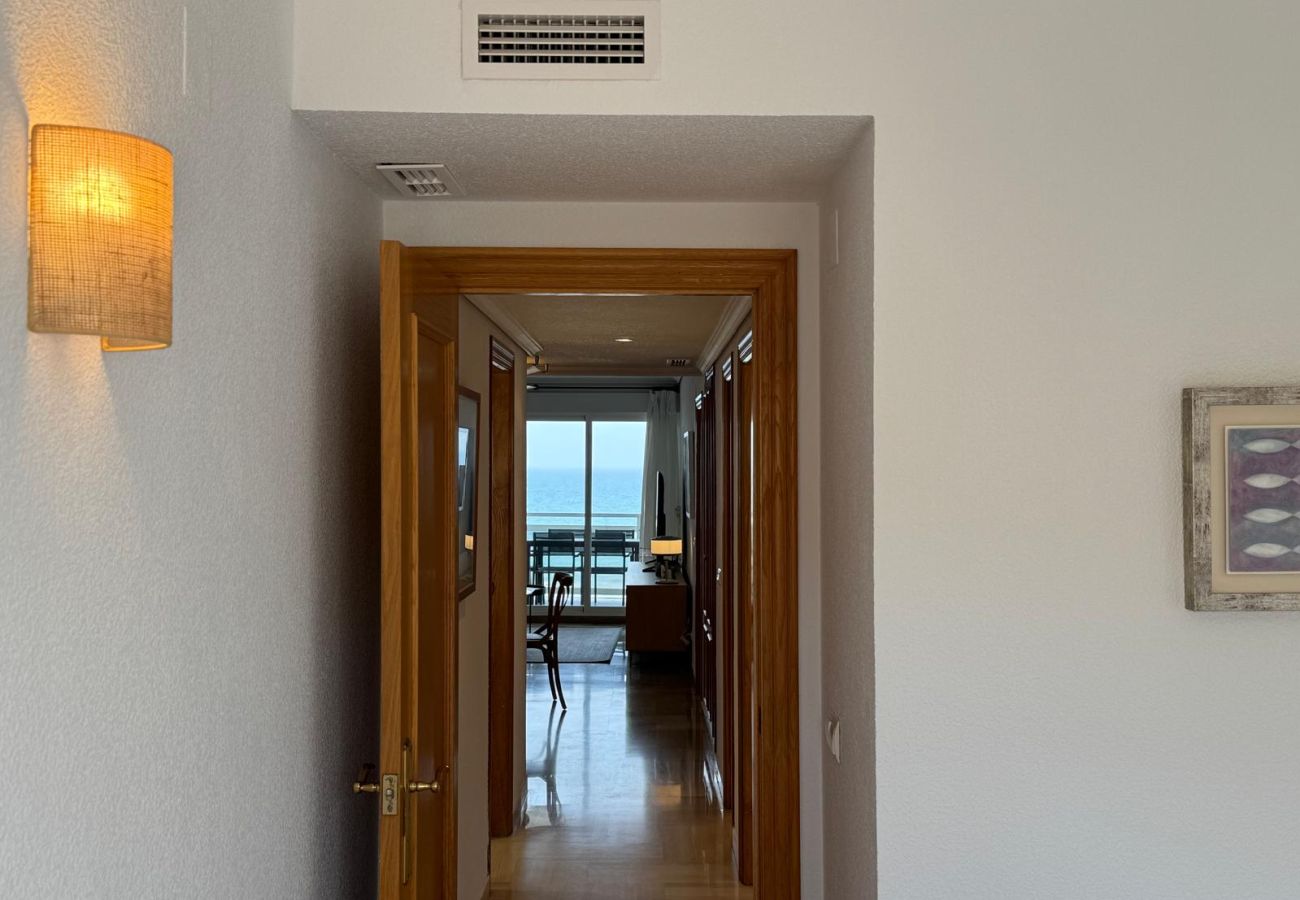 Apartment in Playa de Gandía - AIGUABLAVA 8-7-15 Apartment in Playa de Gandía - AIGUABLAVA 8-7-15