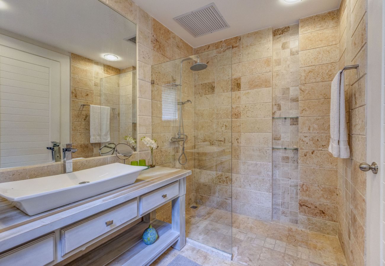 Villa in Punta Cana - Villa Buena Vida 