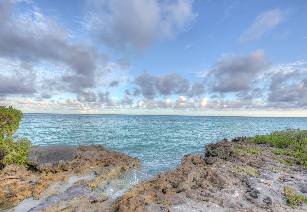 Villa in Punta Cana - Marina 4 - Oceanfront Luxury Villa 