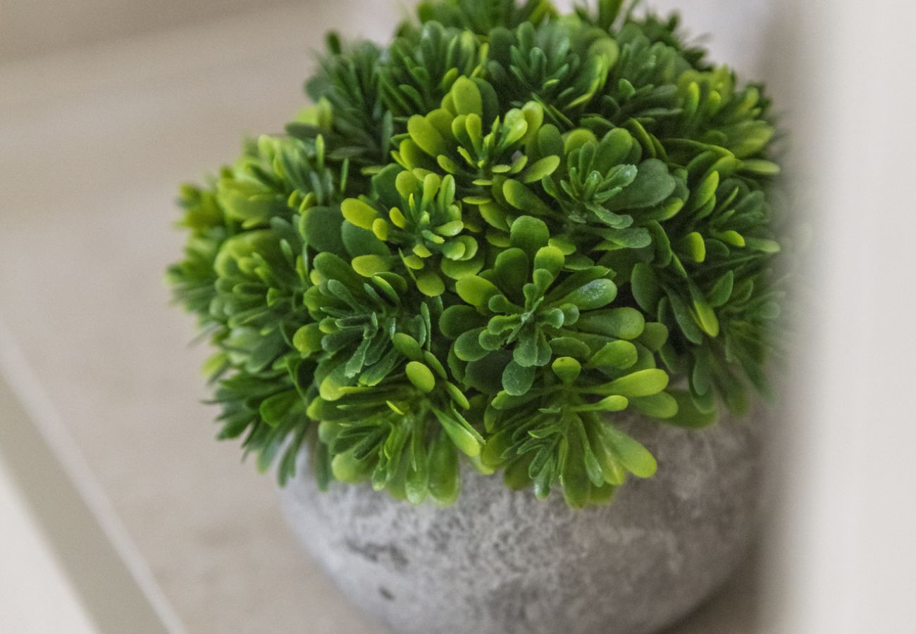 Appartamento a Playa de Gandía - Nuovo appartamento in un unico Resort, aria condizionata, WIFI GRATUITO, pagaia. Ideale per le famiglie