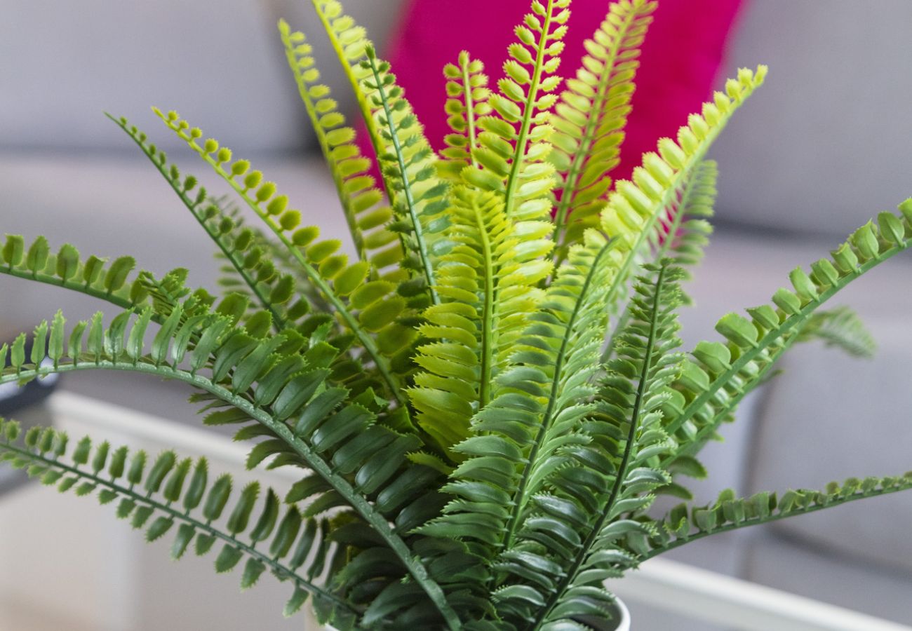 Appartamento a Playa de Gandía - Appartamento con piscina / wifi / barbecue. Decorazione moderna Ideale per le famiglie.