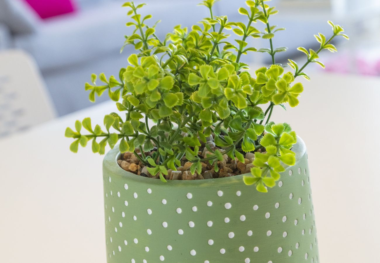 Appartamento a Playa de Gandía - Appartamento con piscina / wifi / barbecue. Decorazione moderna Ideale per le famiglie.