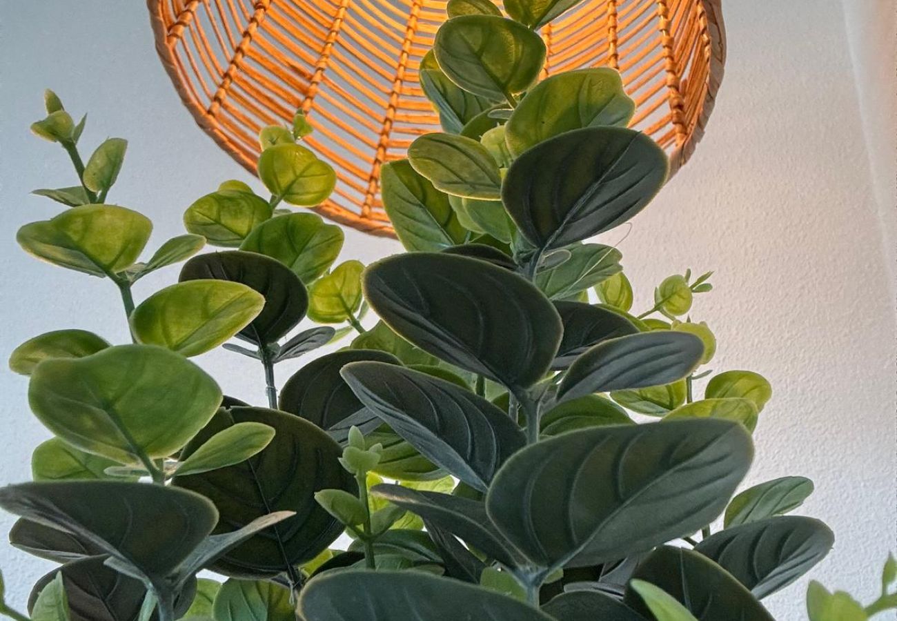 Appartamento a Playa de Gandía - Appartamento con piscina / wifi / barbecue. Decorazione moderna Ideale per le famiglie.