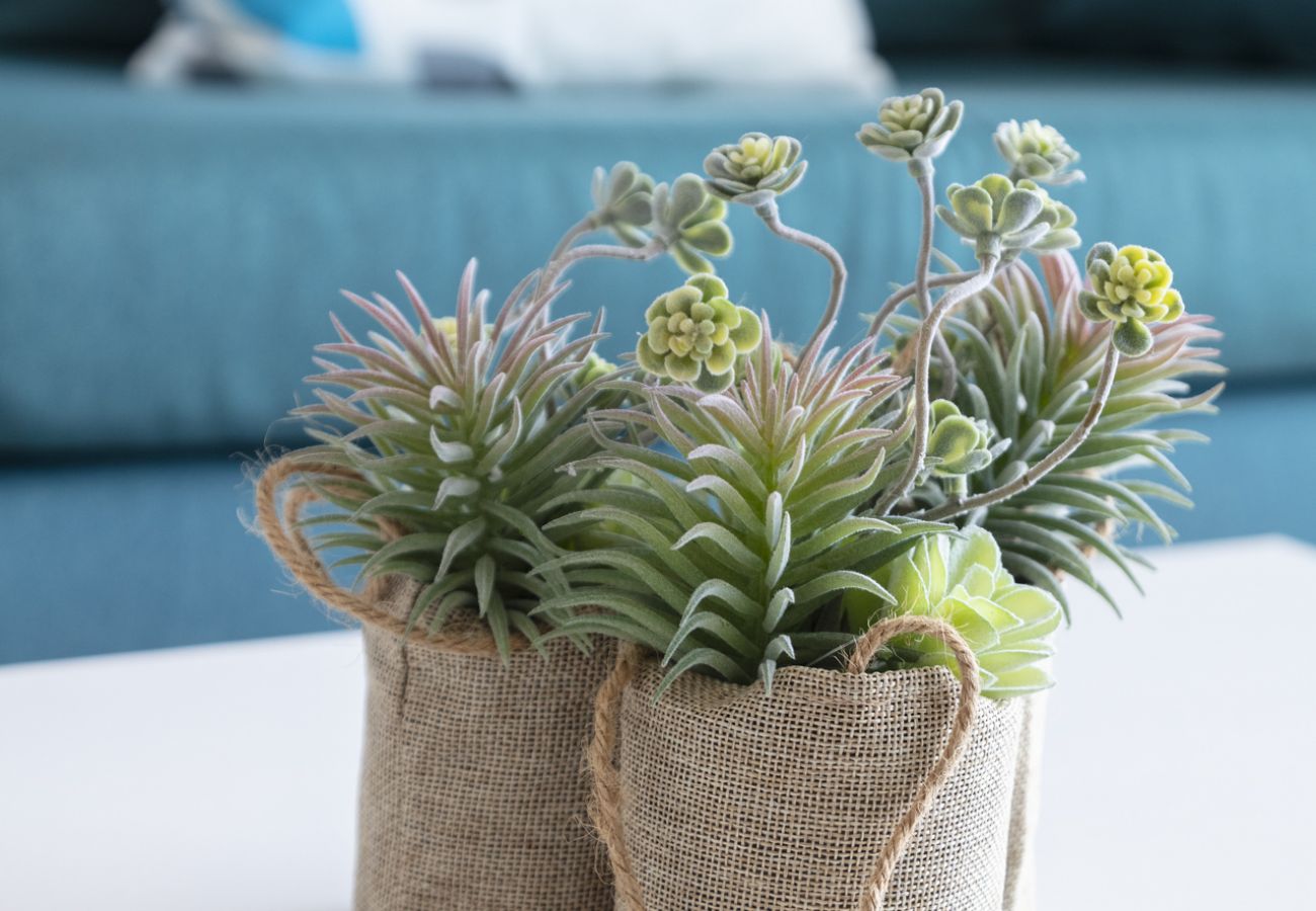 Appartamento a Playa de Gandía - Grazioso appartamento familiare vicino alla spiaggia. Piscina / Wifi