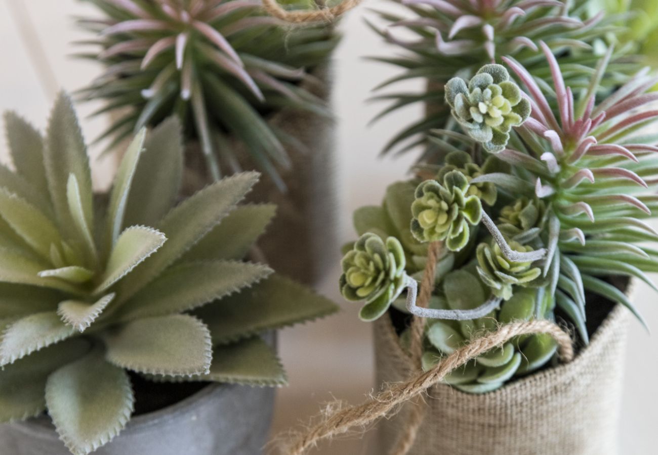 Appartamento a Playa de Gandía - Appartamento con decorazioni moderne. Ideale per le famiglie.