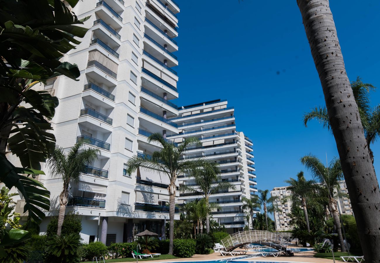 Appartamento a Playa de Gandía - Appartamento con decorazioni moderne - Affitto solo per famiglie