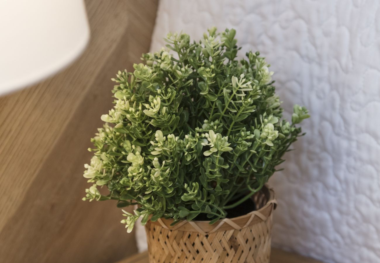 Appartamento a Playa de Gandía - Appartamento con cucina per ufficio. Decorazione moderna Accanto al porto. Wifi