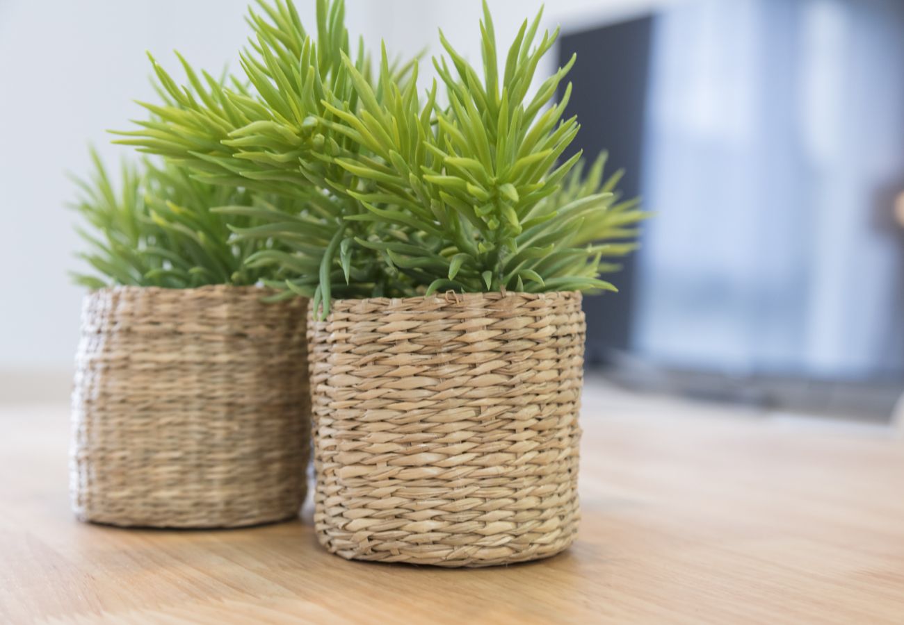 Appartamento a Playa de Gandía - Appartamento con cucina per ufficio. Decorazione moderna Accanto al porto. Wifi