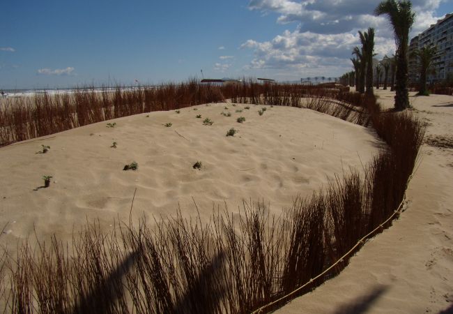 Appartamento a Playa de Gandía - Grazioso appartamento con 2 camere da letto. Wifi Appartamento a Playa de Gandía - Grazioso appartamento con 2 camere da letto. Wifi