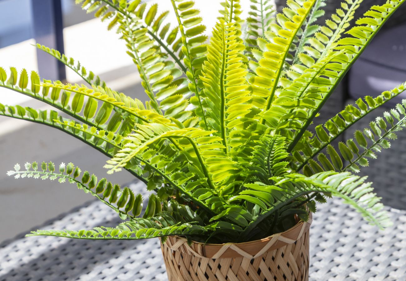 Appartamento a Playa de Gandía - Grazioso appartamento con 2 camere da letto. Pool. Wifi